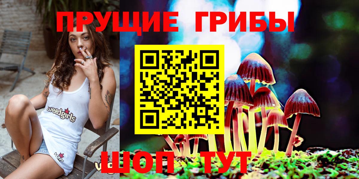 Галлюциногенные грибы Cubensis Вязники