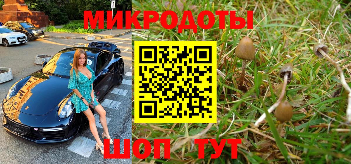 Вязники  Галлюциногенные грибы мицелий  Псилоцибиновые грибы ЛСД  Вход с VPN 